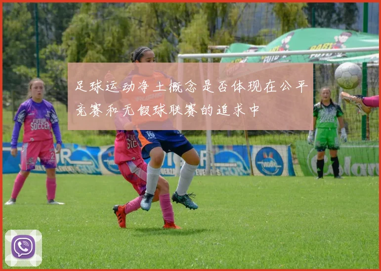 足球运动净土概念是否体现在公平竞赛和无假球联赛的追求中